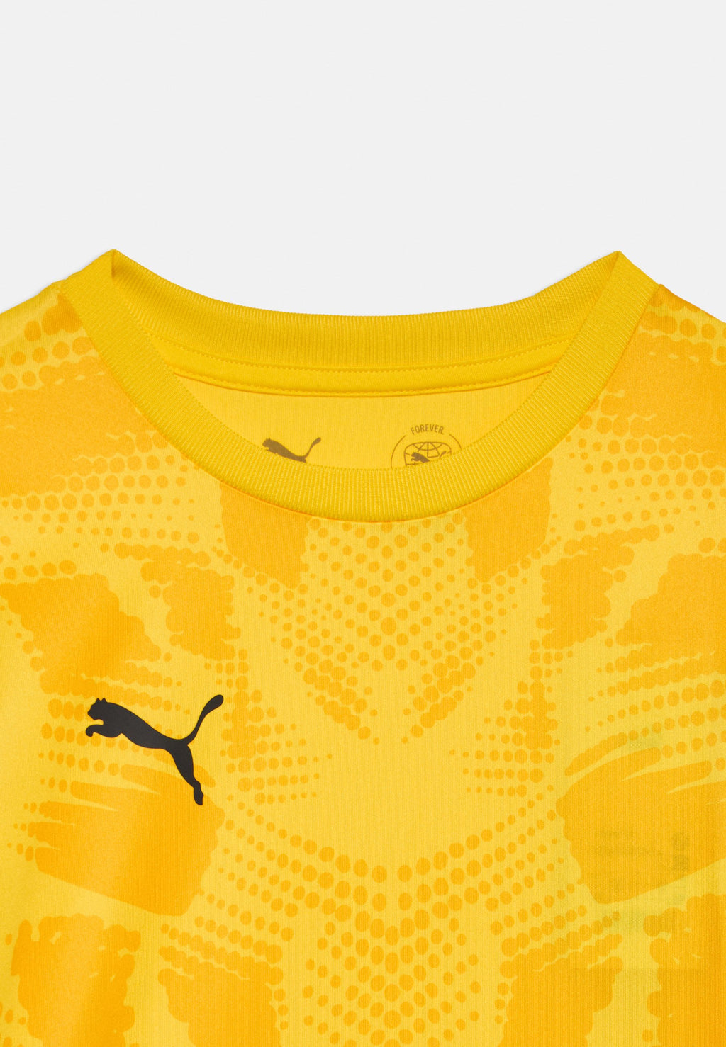 Puma TEAMULTIMATE
