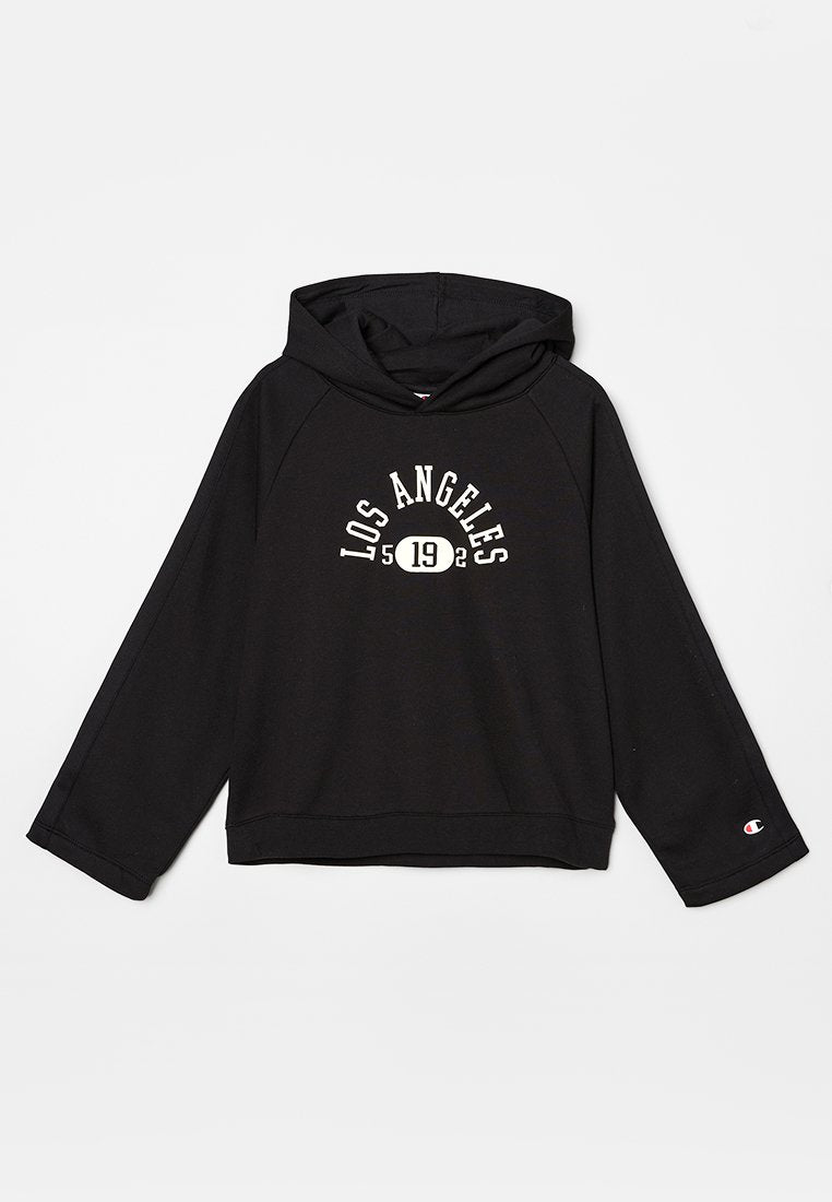 Champion Kapuzenpullover Media 1
