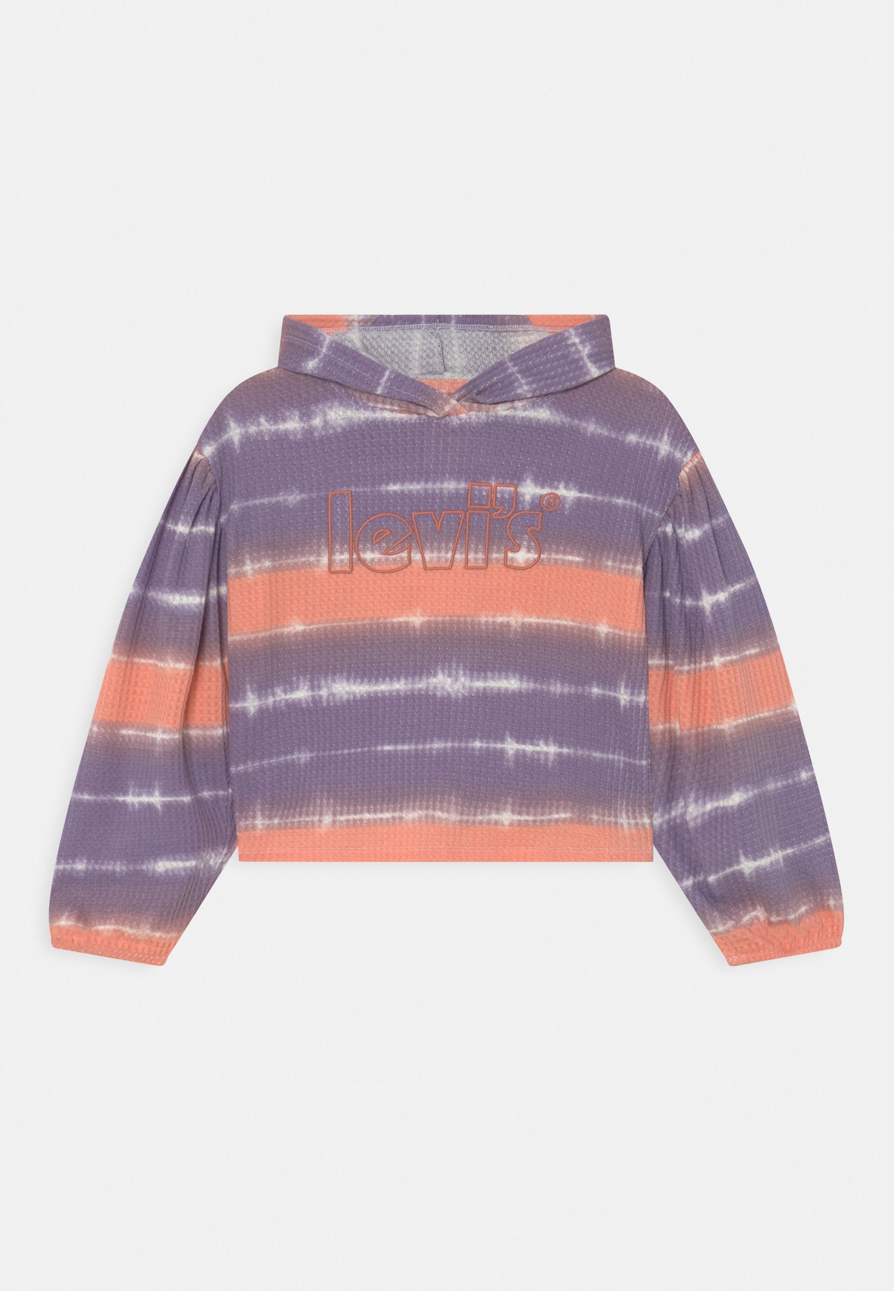 Levi's® MEET & GREET HOODIE
