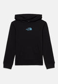 The North Face LIQUID LOGO REGULAR GRAPHIC