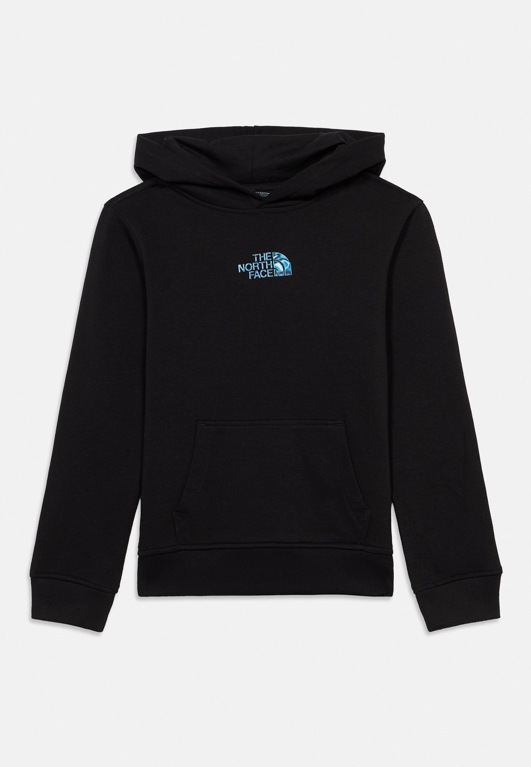 The North Face LIQUID LOGO REGULAR GRAPHIC