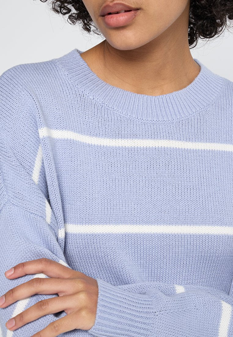 Hollister Co.