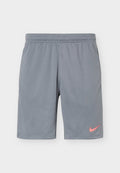 Nike Performance MEN'S SOCCER SHORTS - Sports shorts - smoke grey/black/hot punch