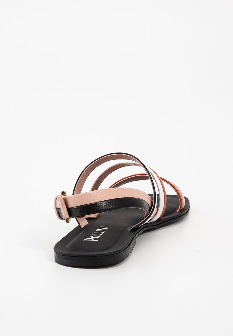 Pollini RAINBOW