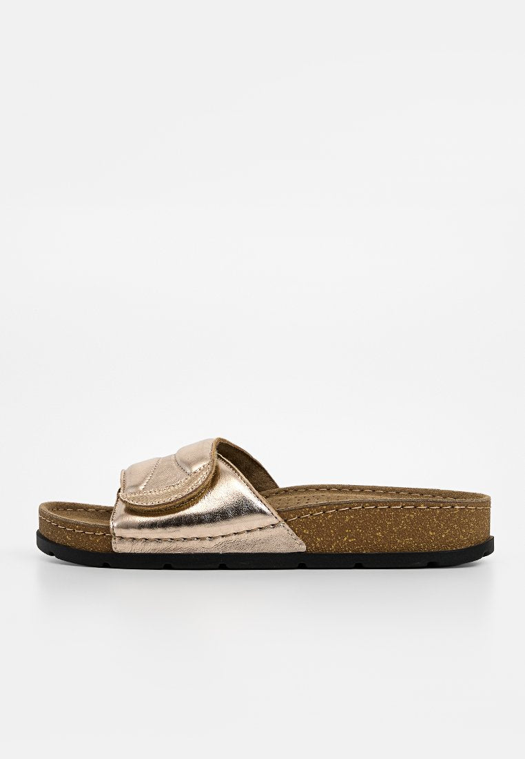 Scholl SAMOA