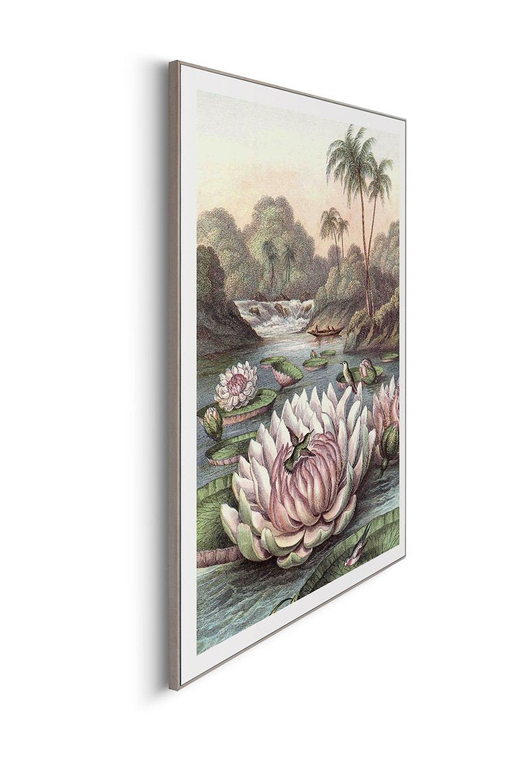 Orange Wallz WATERLILY