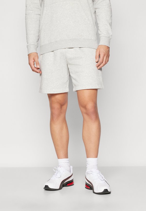 Puma HYROX SHORT - Sports shorts - light gray heather
