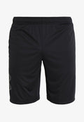 Under Armour Tech Graphic - Sports shorts - black/graphite