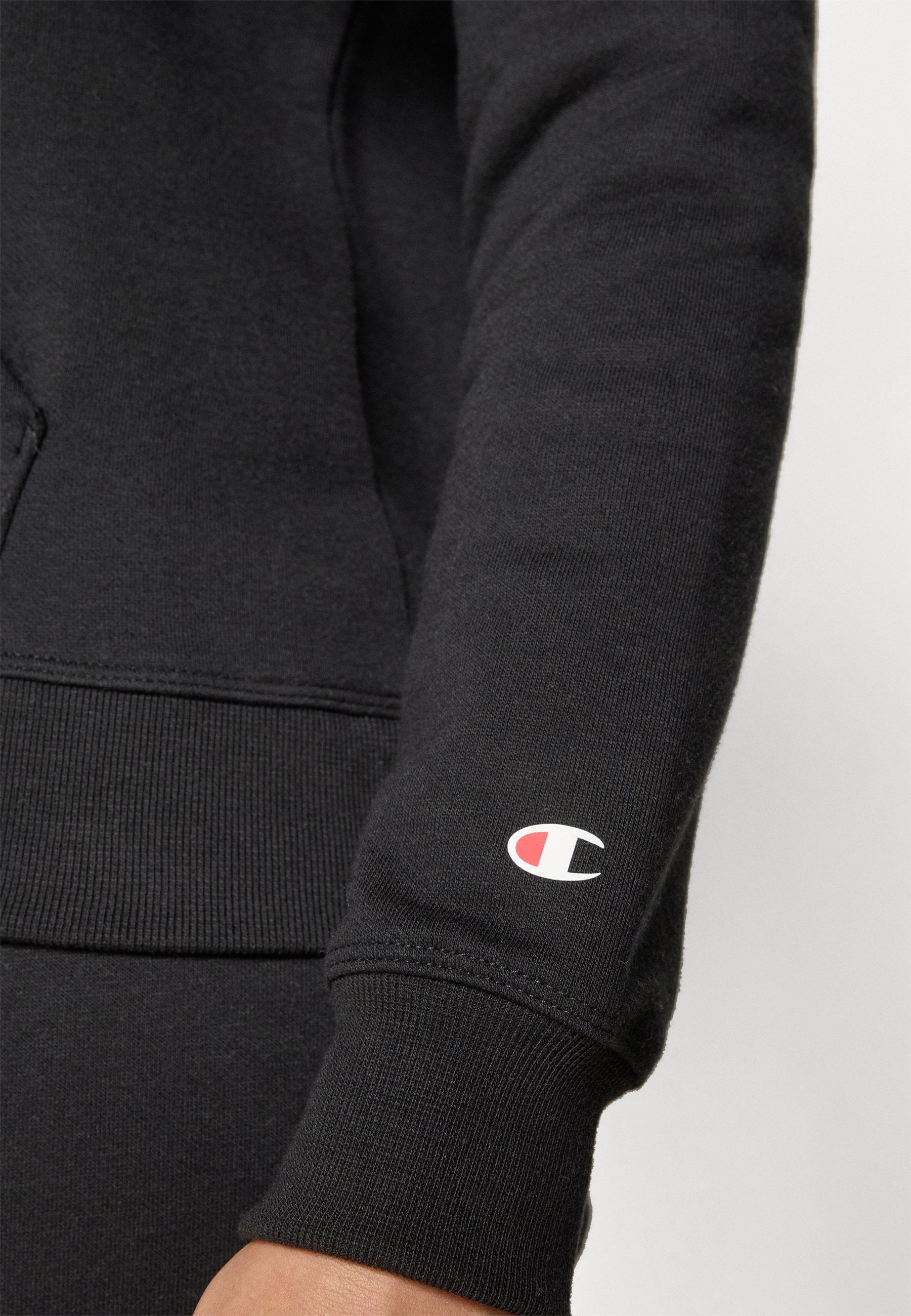 Champion BASICS HOODIE LARGE LOGO