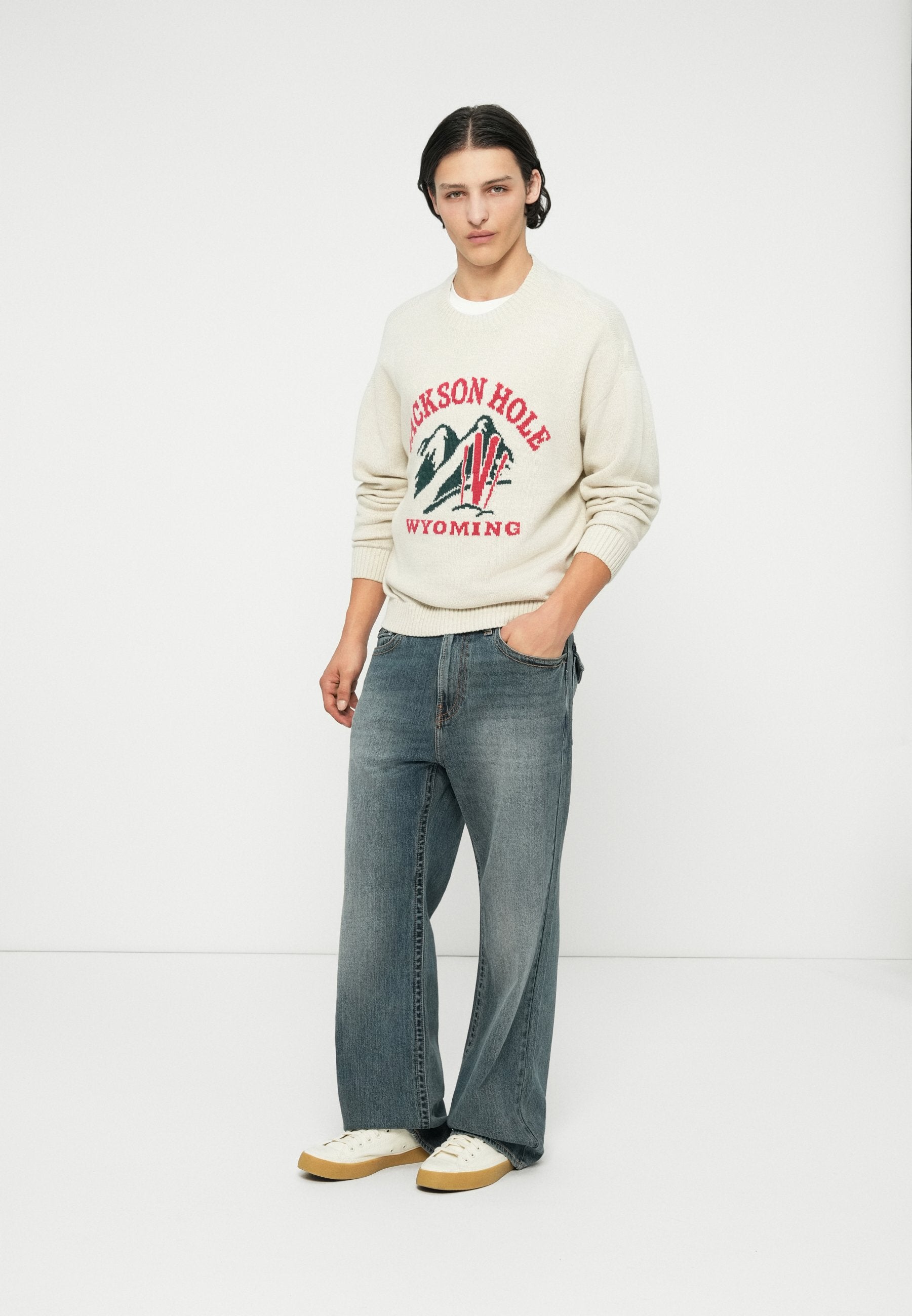 Hollister Co. INTARSIA CREW