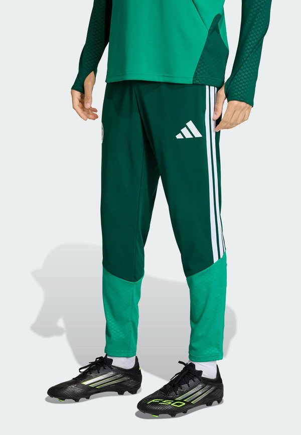 adidas Performance ALGERIA 26 TRAINING - National team wear - team dark green