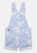 Levi's® RAILROAD  SHORTALL