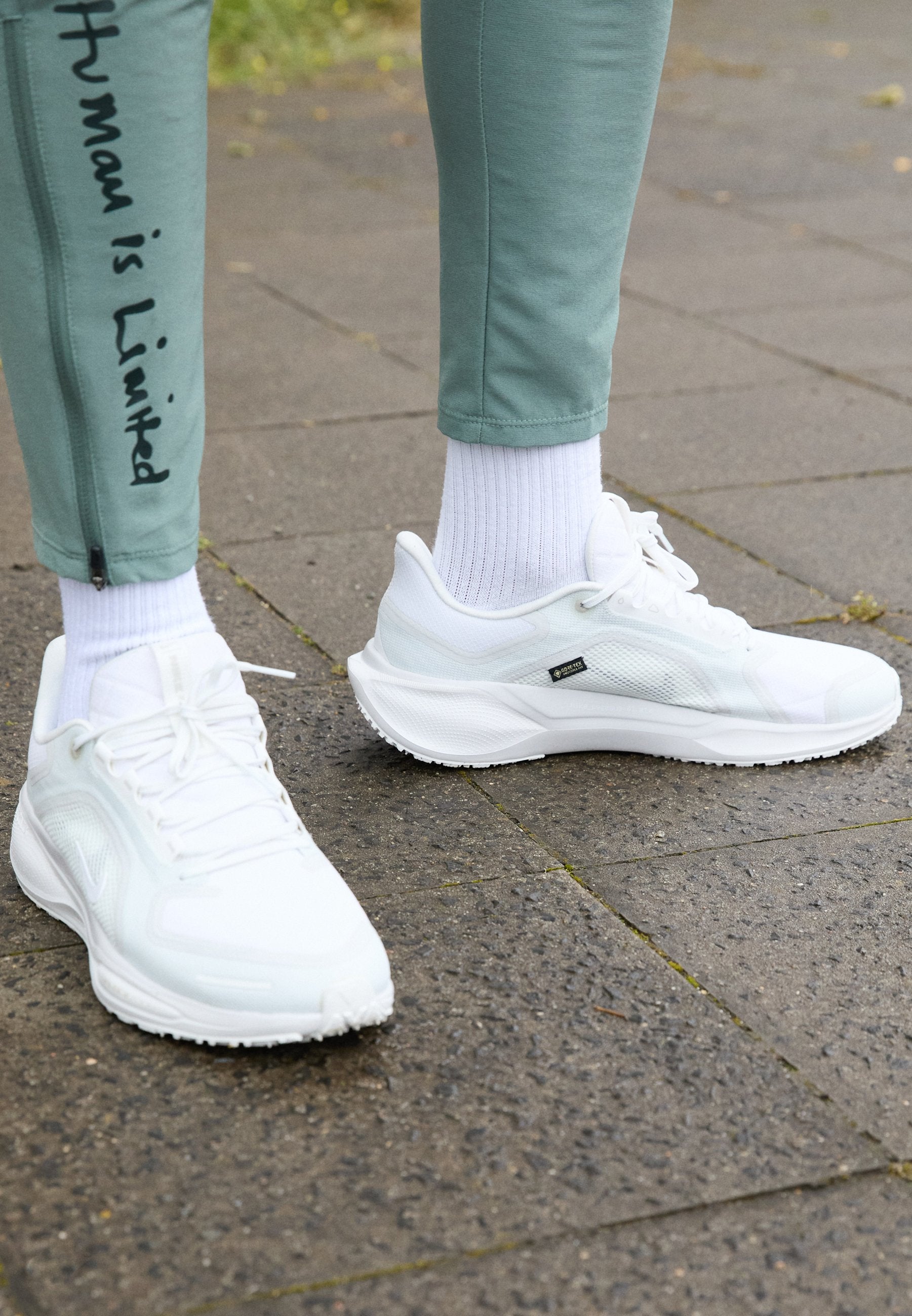 Nike Performance PEGASUS 41 GTX