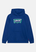 Levi's® BATWING FILL HOODIE