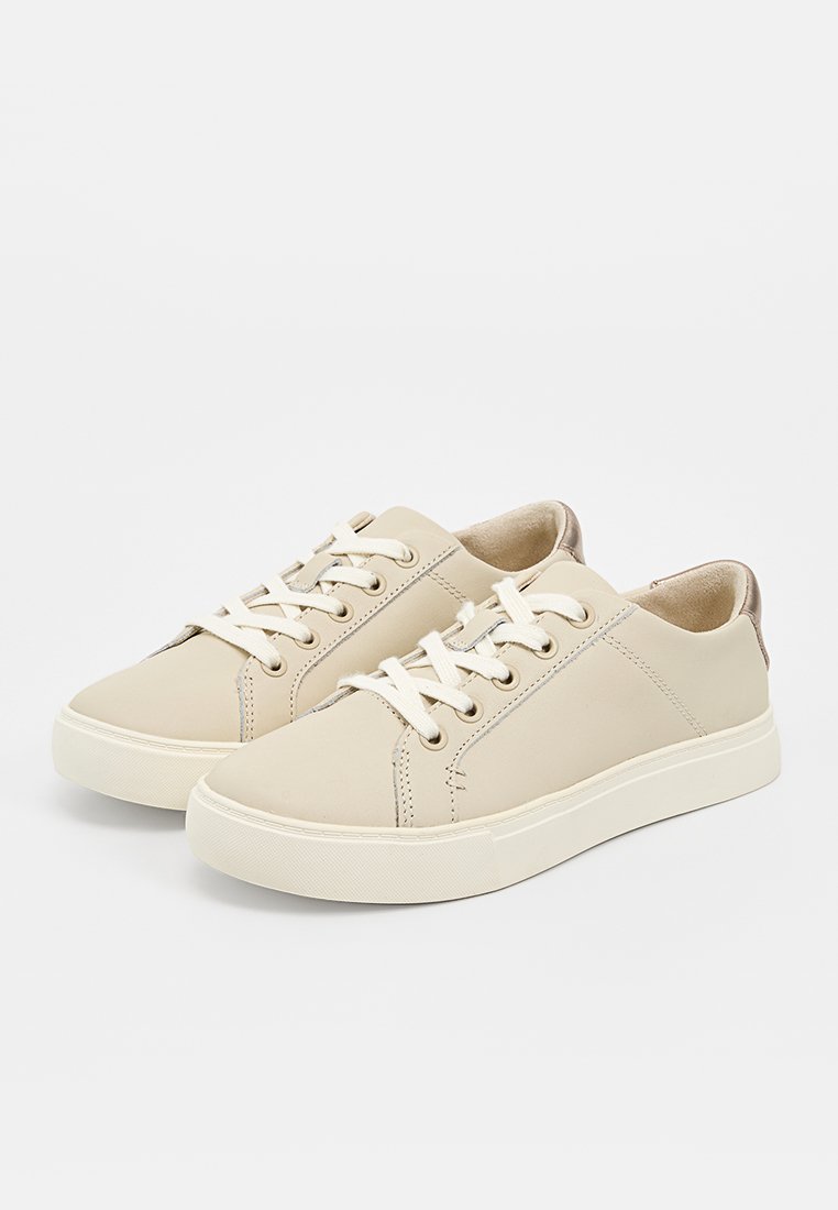TOMS KAMERON