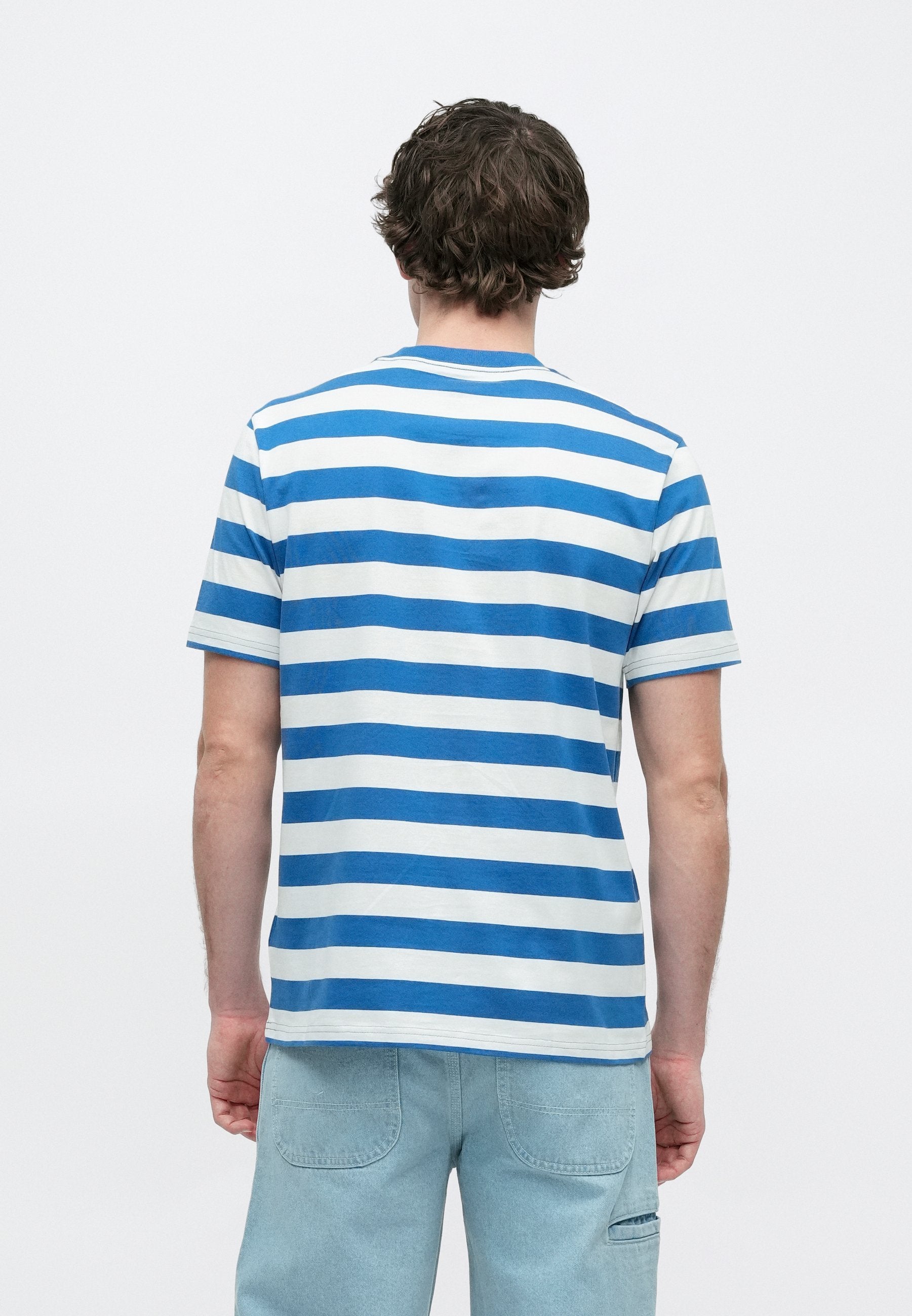 Dickies RIVERGROVE TEE