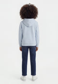 Abercrombie & Fitch PULLOVER HOODIE