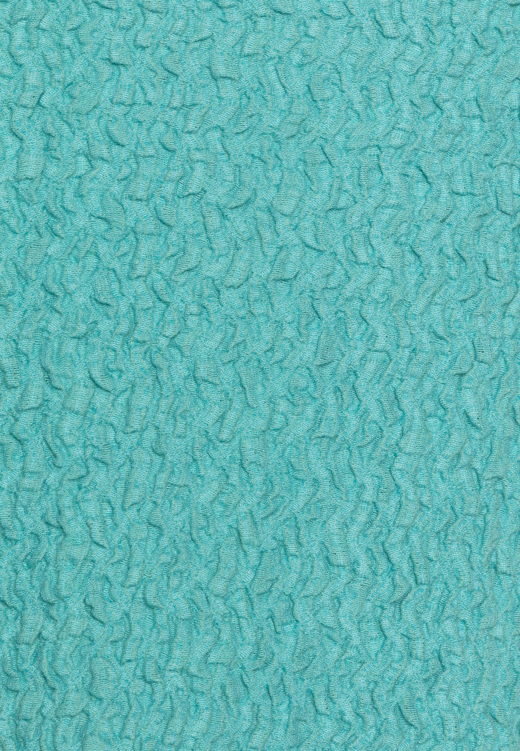 Résumé ROBERT SKIRT