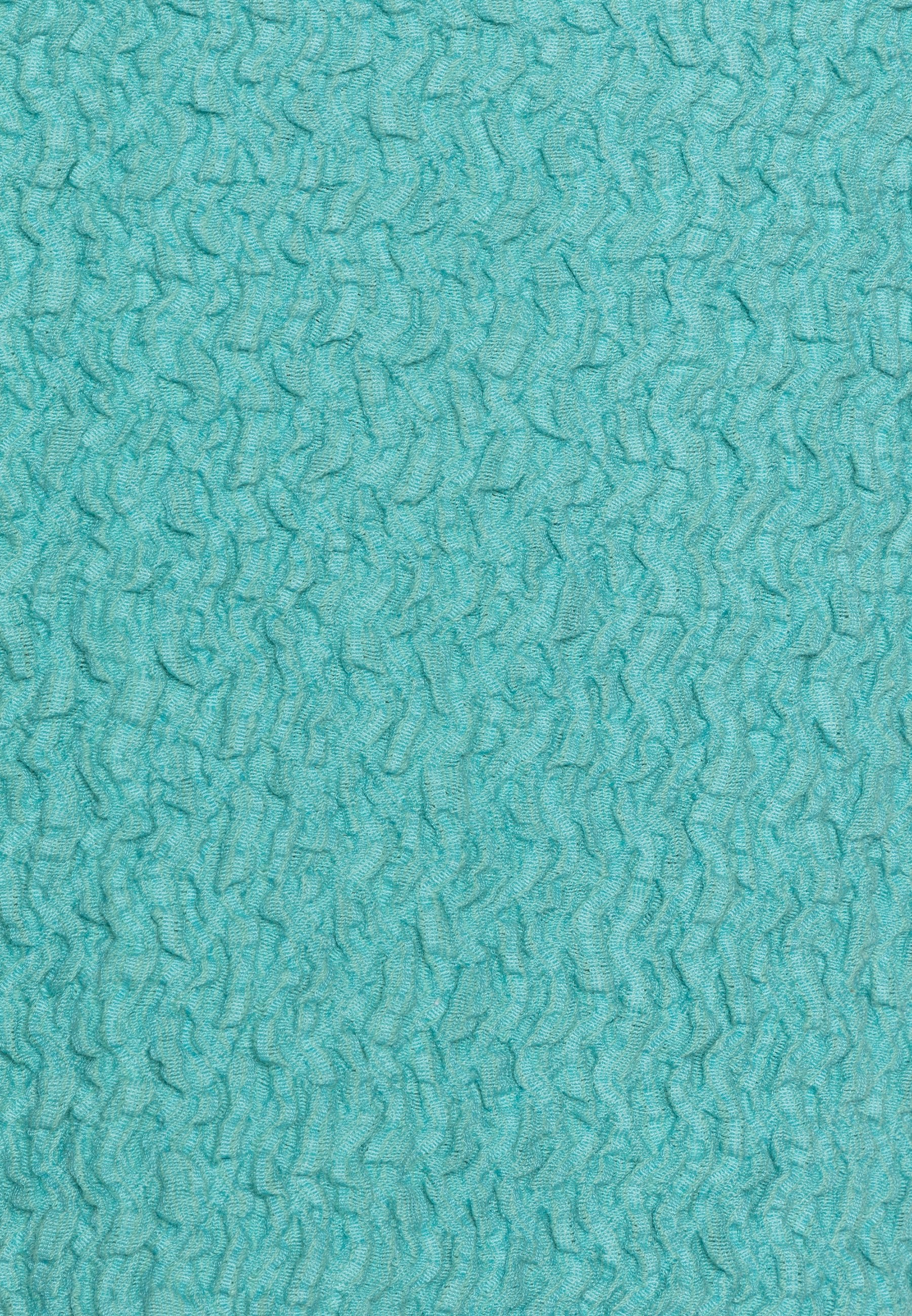 Résumé ROBERT SKIRT