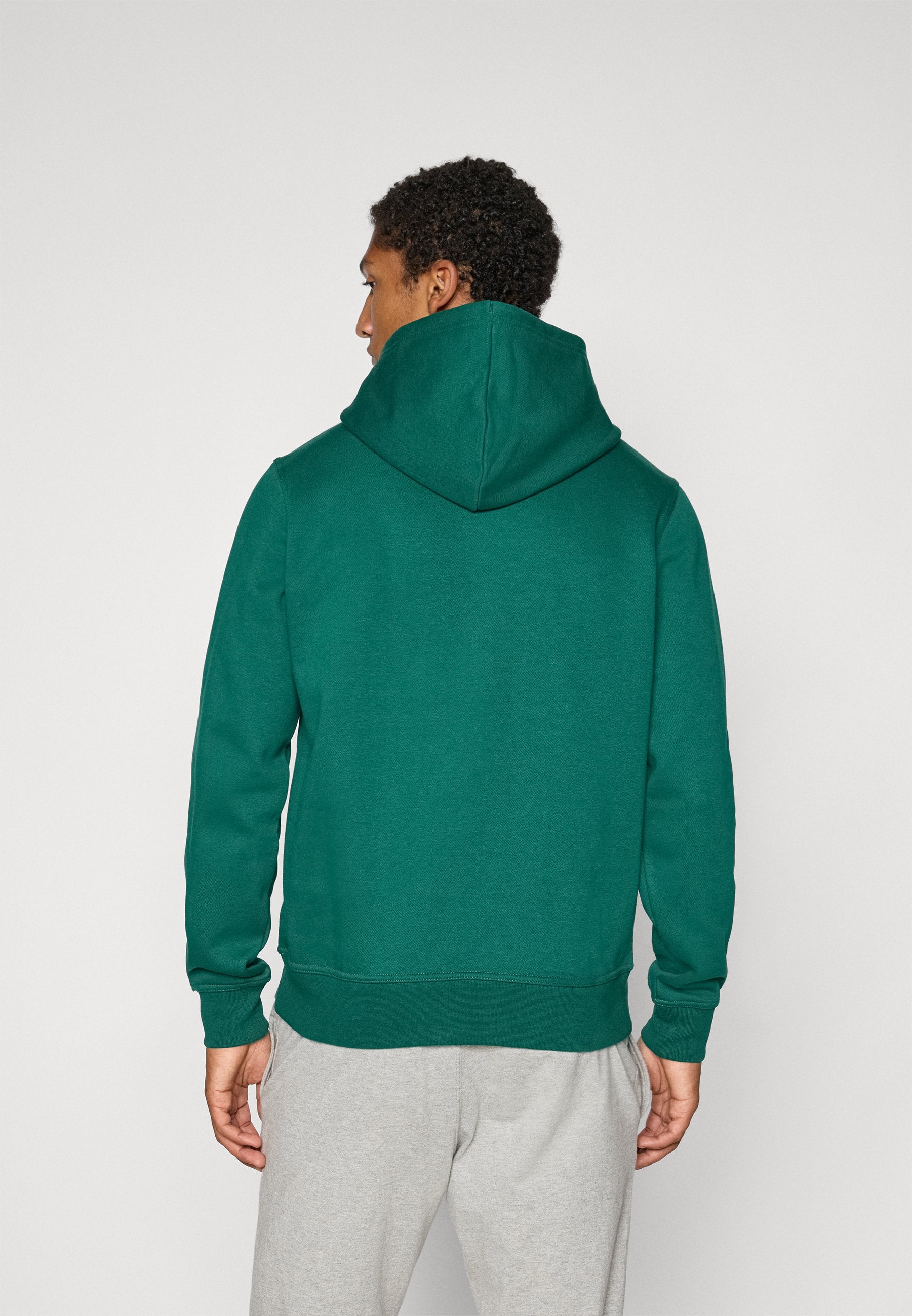 Champion SPORTSWEAR HOODIE STANDARD FIT