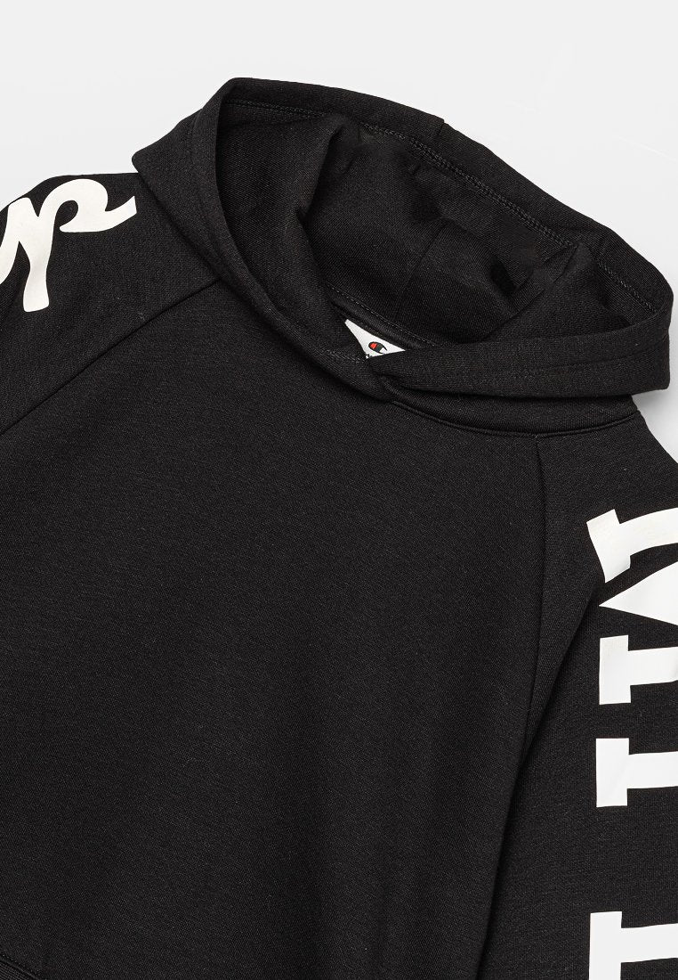 Champion Rochester HOODED SWEATSHIRT