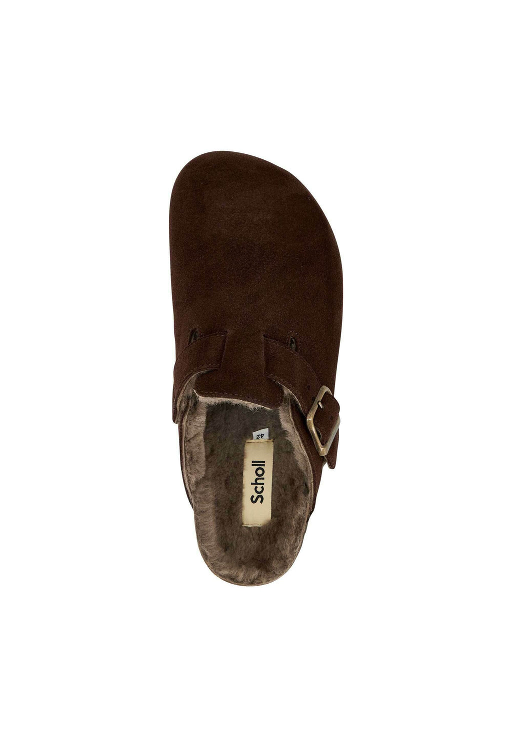 Scholl OLIVIER F NEW