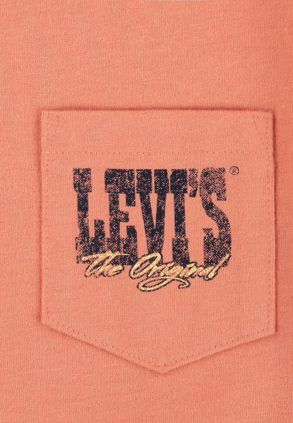 Levi's® CANYON LANDSCAPE TEE