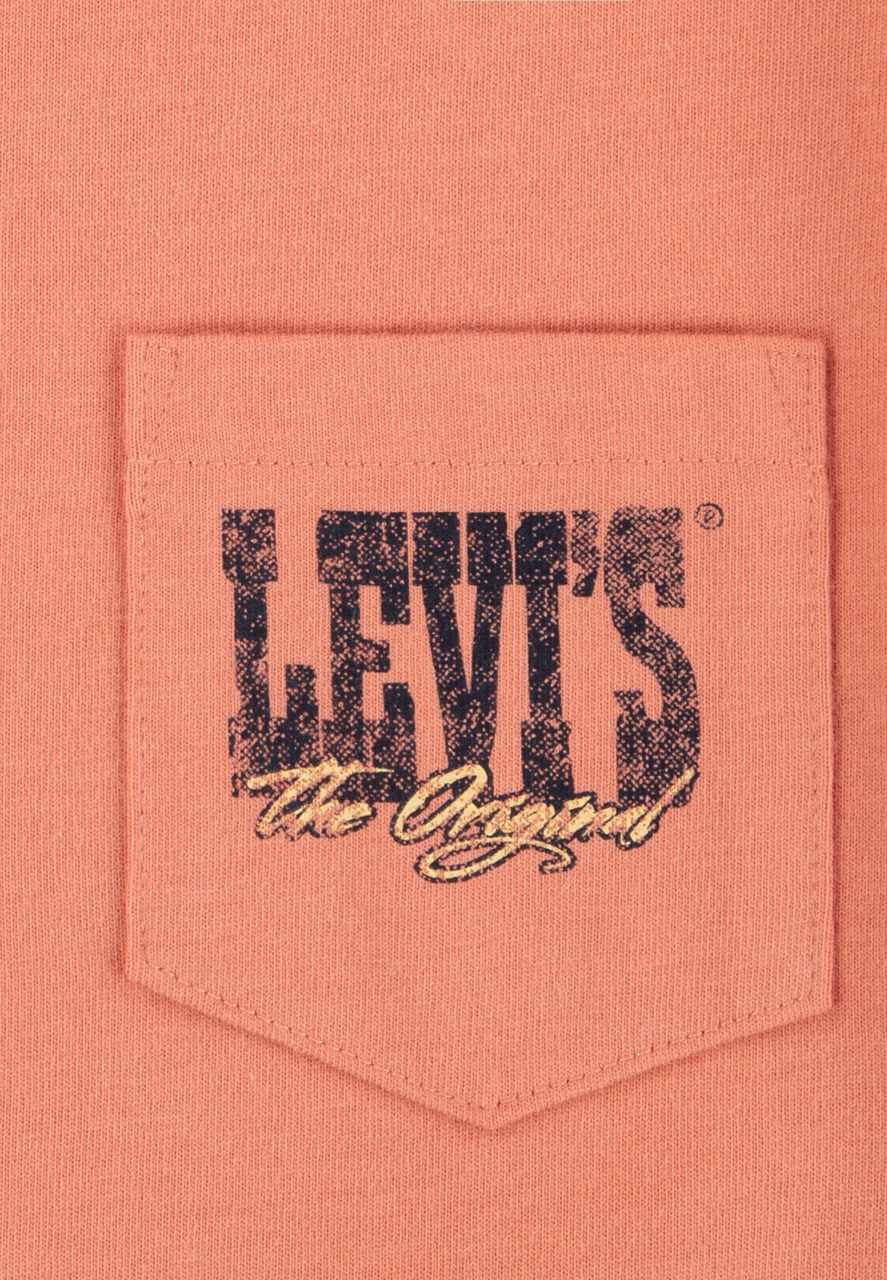Levi's® CANYON LANDSCAPE TEE