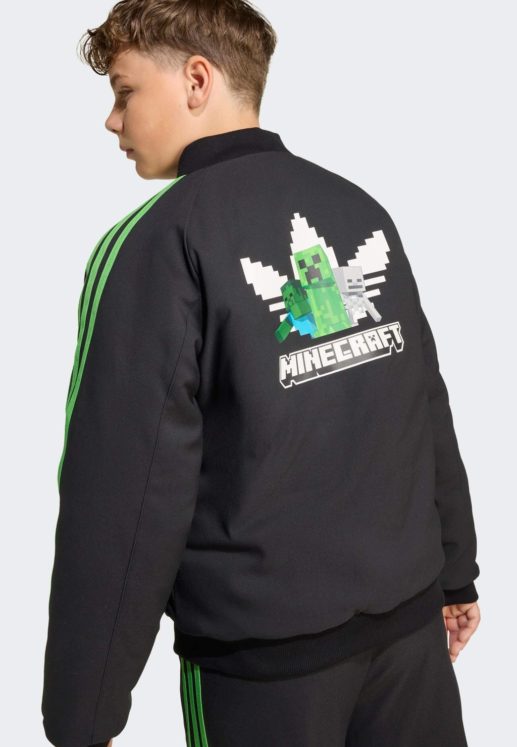 MINECRAFT  Media 6