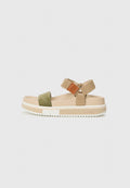 Pollini