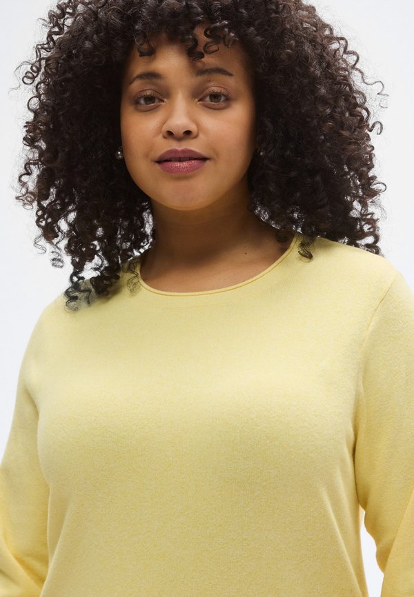ONLY Carmakoma CARLOYAL O NECK PULLOVER