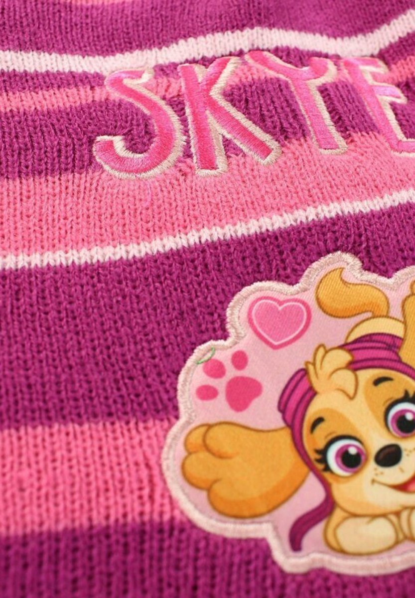 Paw Patrol  ENSEMBLE
