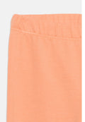 Friboo 3 PACK TODDLER LEGGINGS