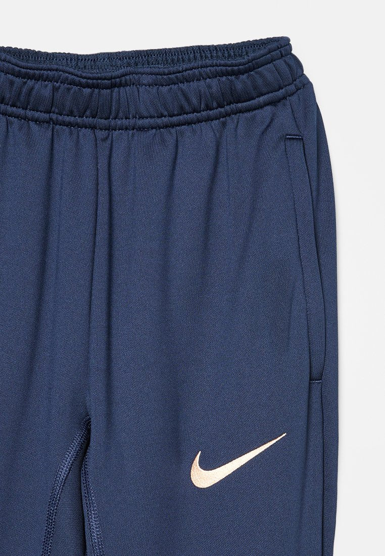 Nike Performance CHELSEA LONDON