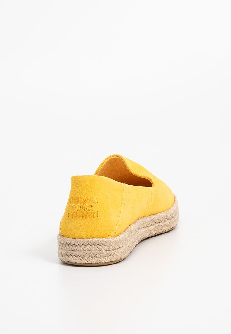 TOMS
