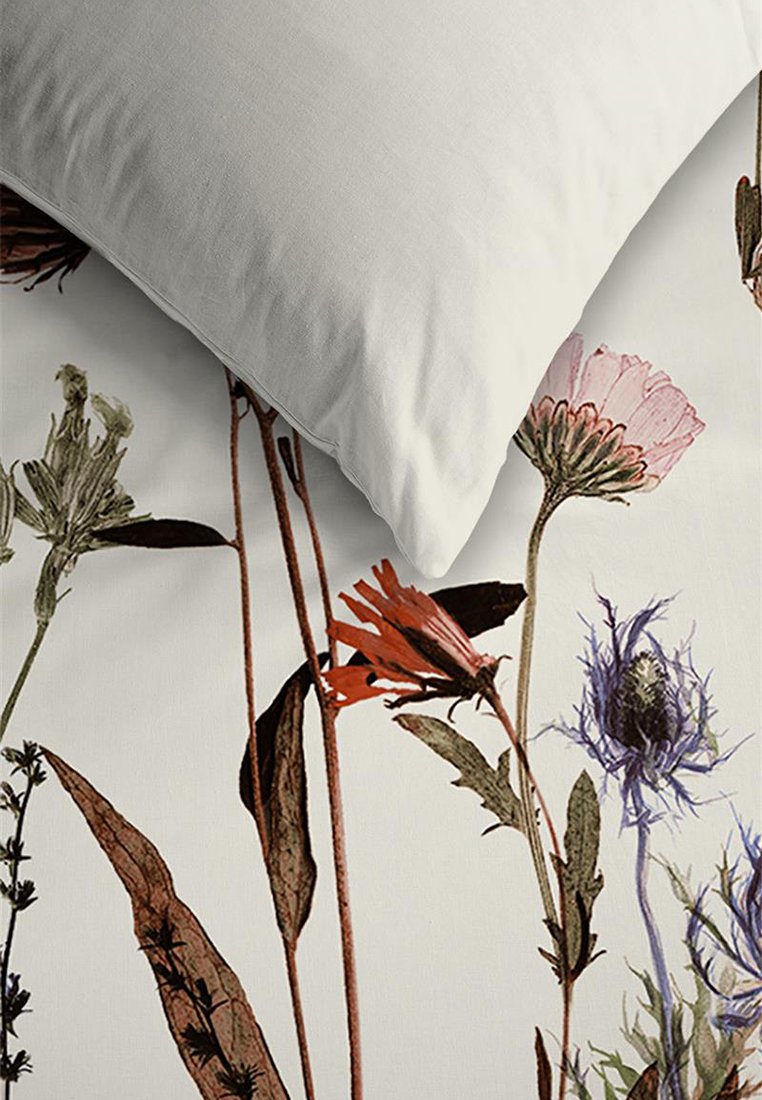 Ambiante DRY FLOWERS