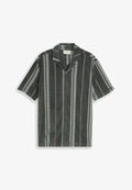 TOM TAILOR Shirt - darkest olive