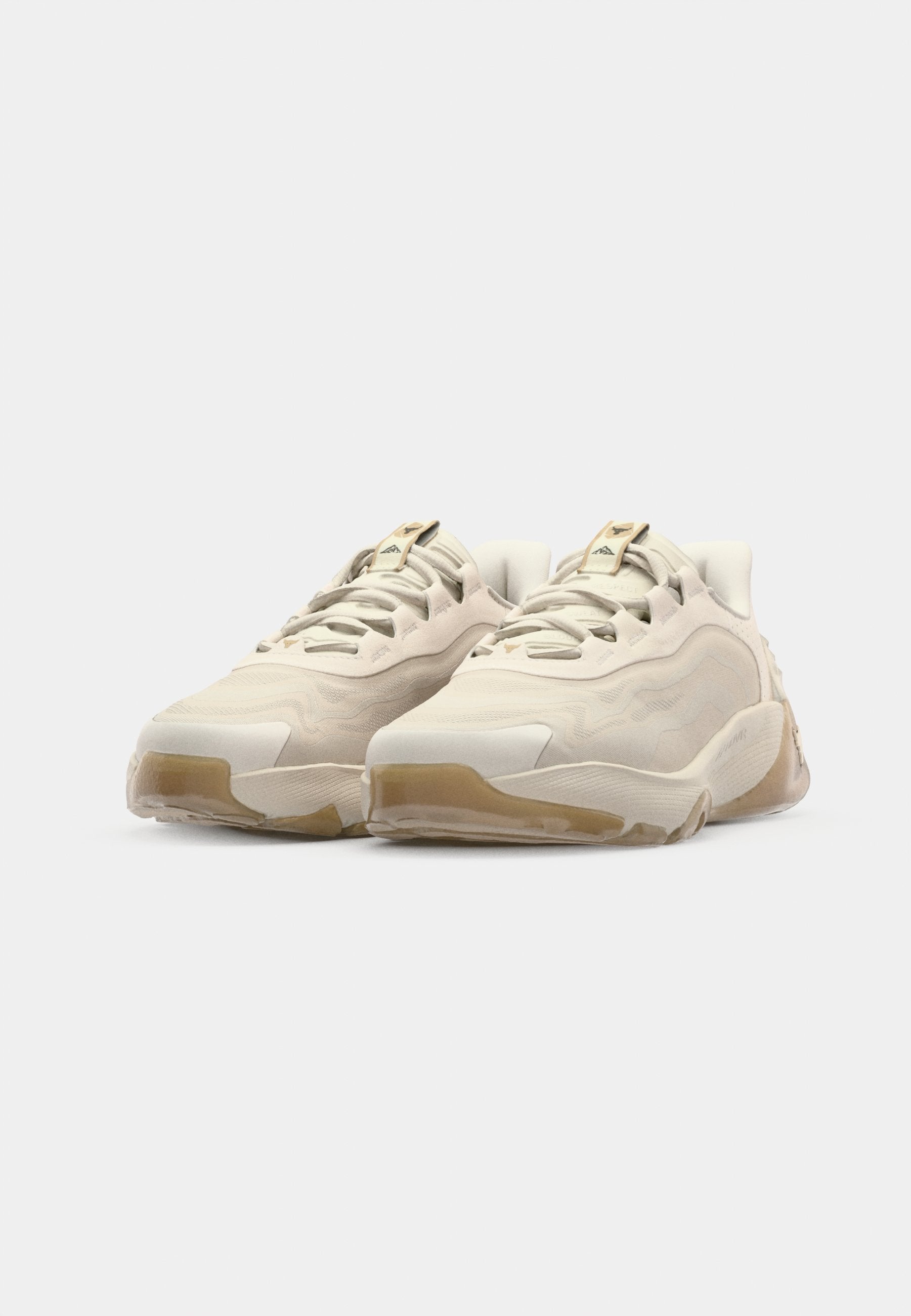 Under Armour PROJECT ROCK 8