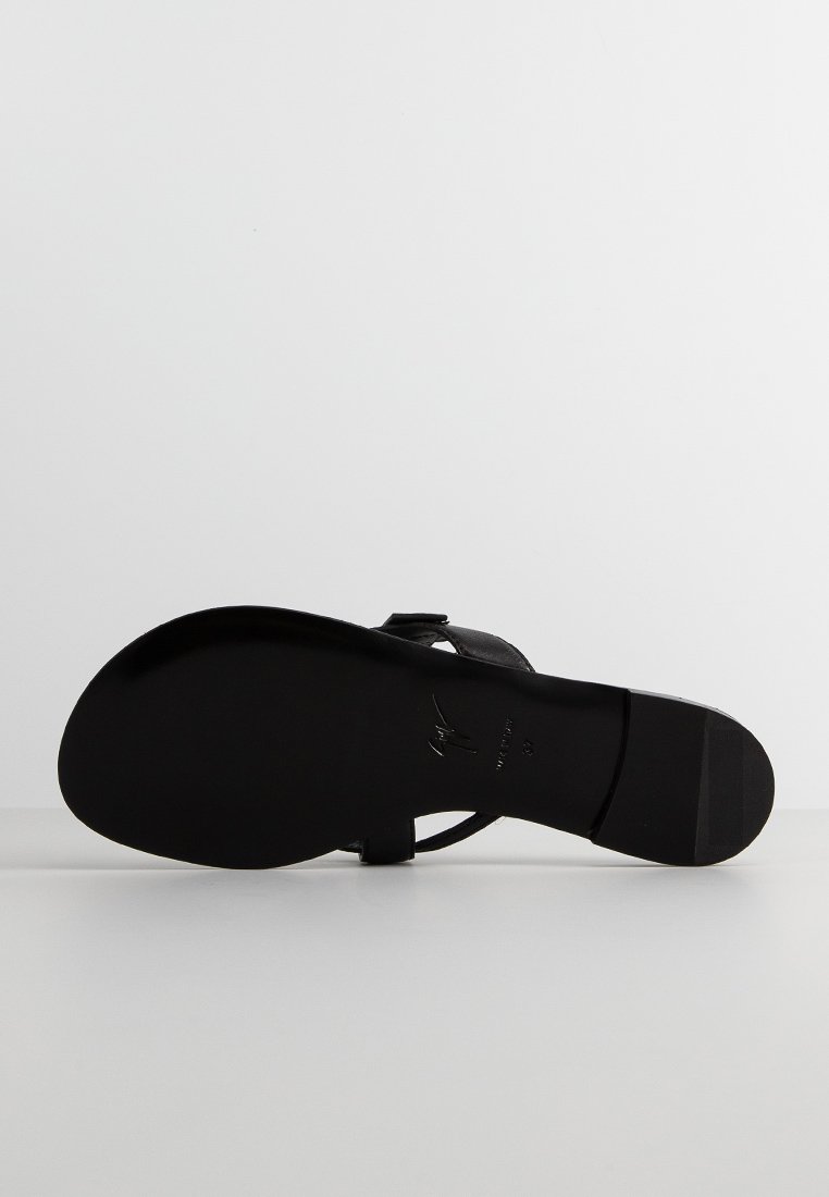 Giuseppe Zanotti