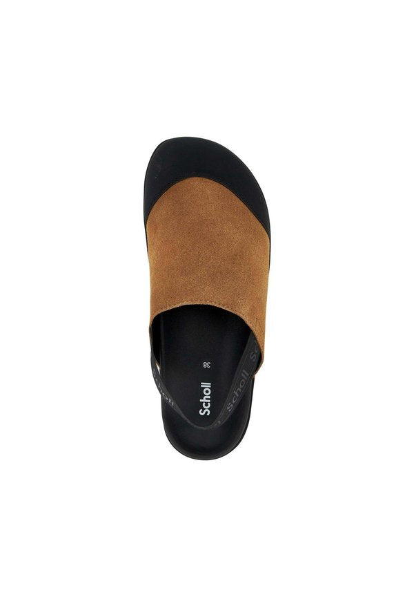 Scholl ABBY