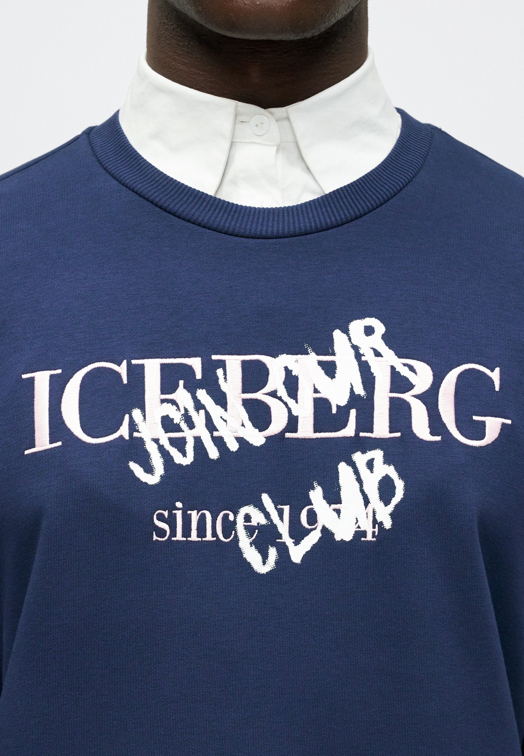 Iceberg