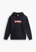 Levi's® RELAXD GRAPHIC HOODIE