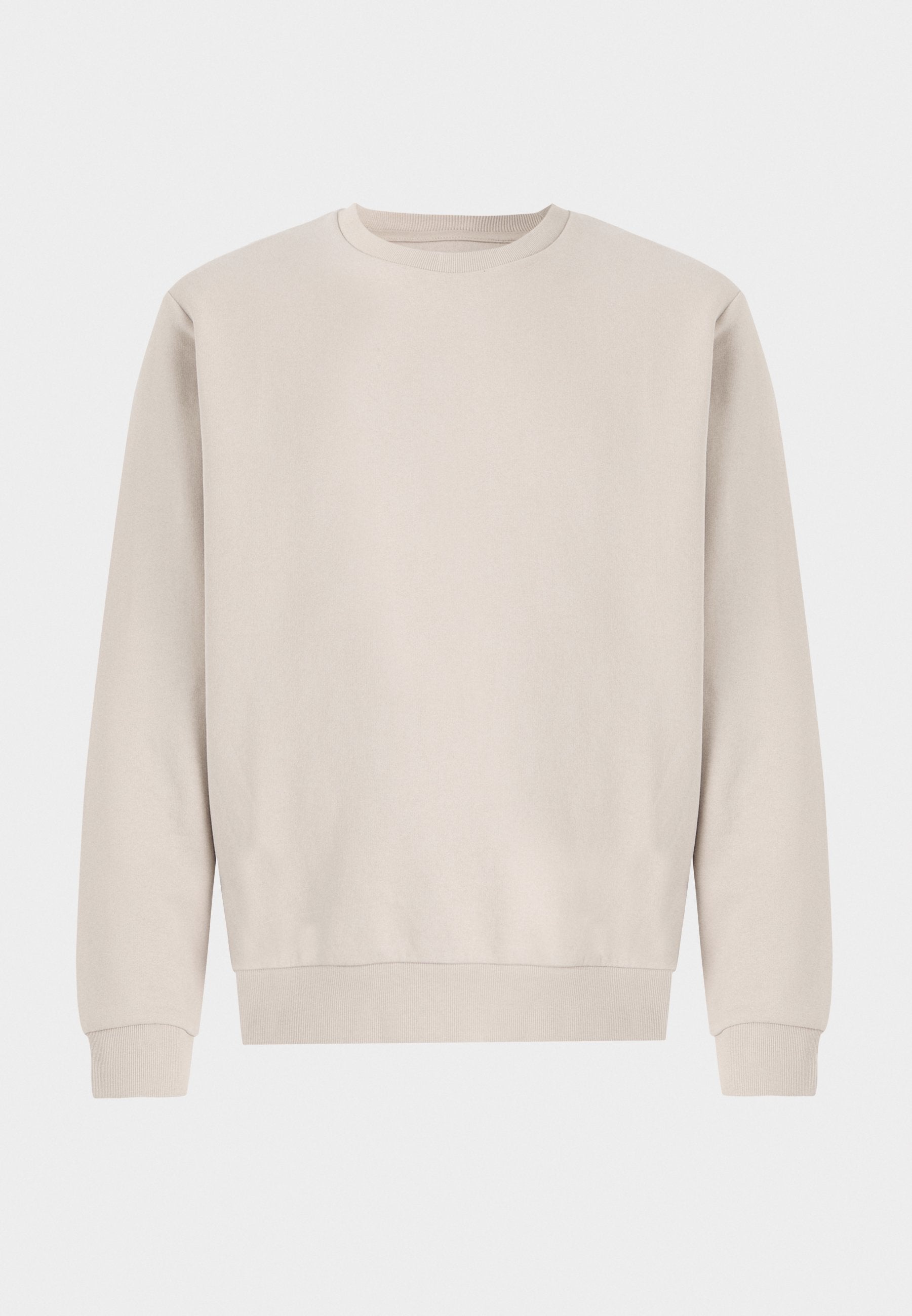 Jack & Jones JJEBRADLEY SWEAT CREW NOOS