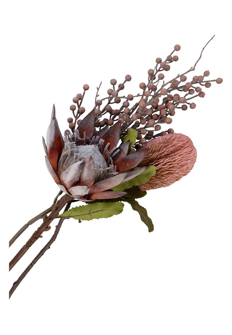 House Nordic KING PROTEA BOUQUET