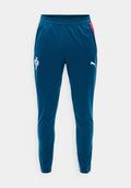 Puma PORTUGAL FPF TRAINING PANTS W/ POCKETS - Tracksuit bottoms - ocean tropic/silver-coloured mist