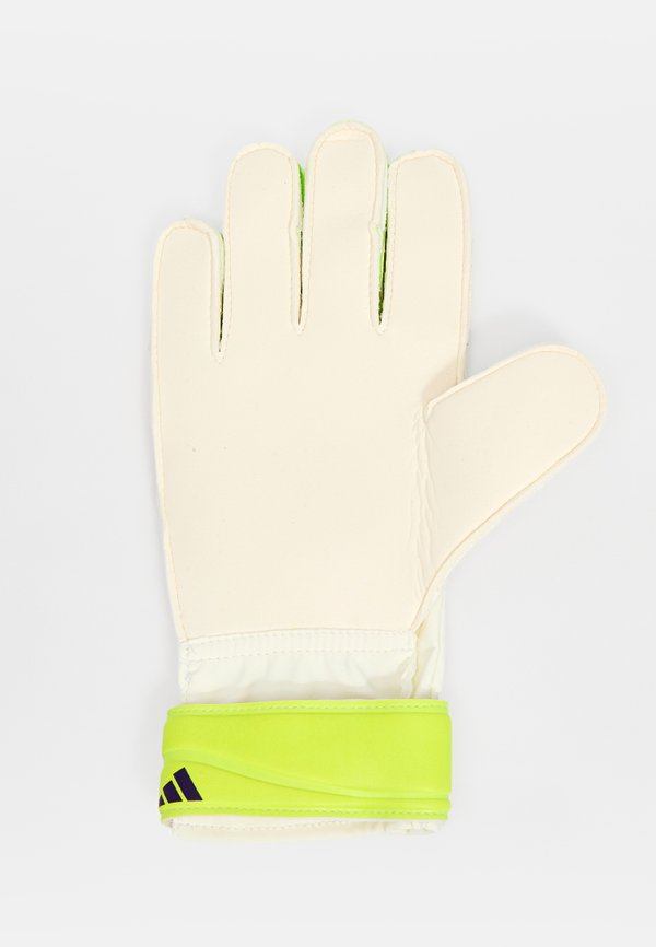 adidas Performance PRED GL TRN