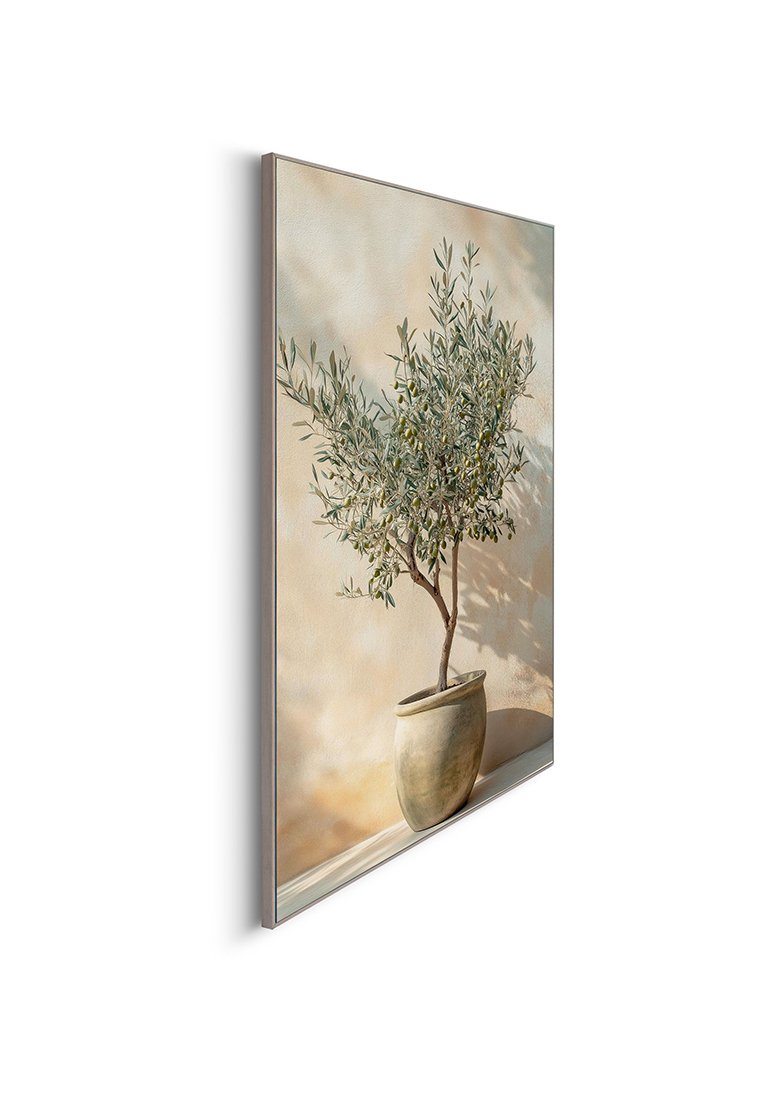 Orange Wallz OLIVE SUMMER