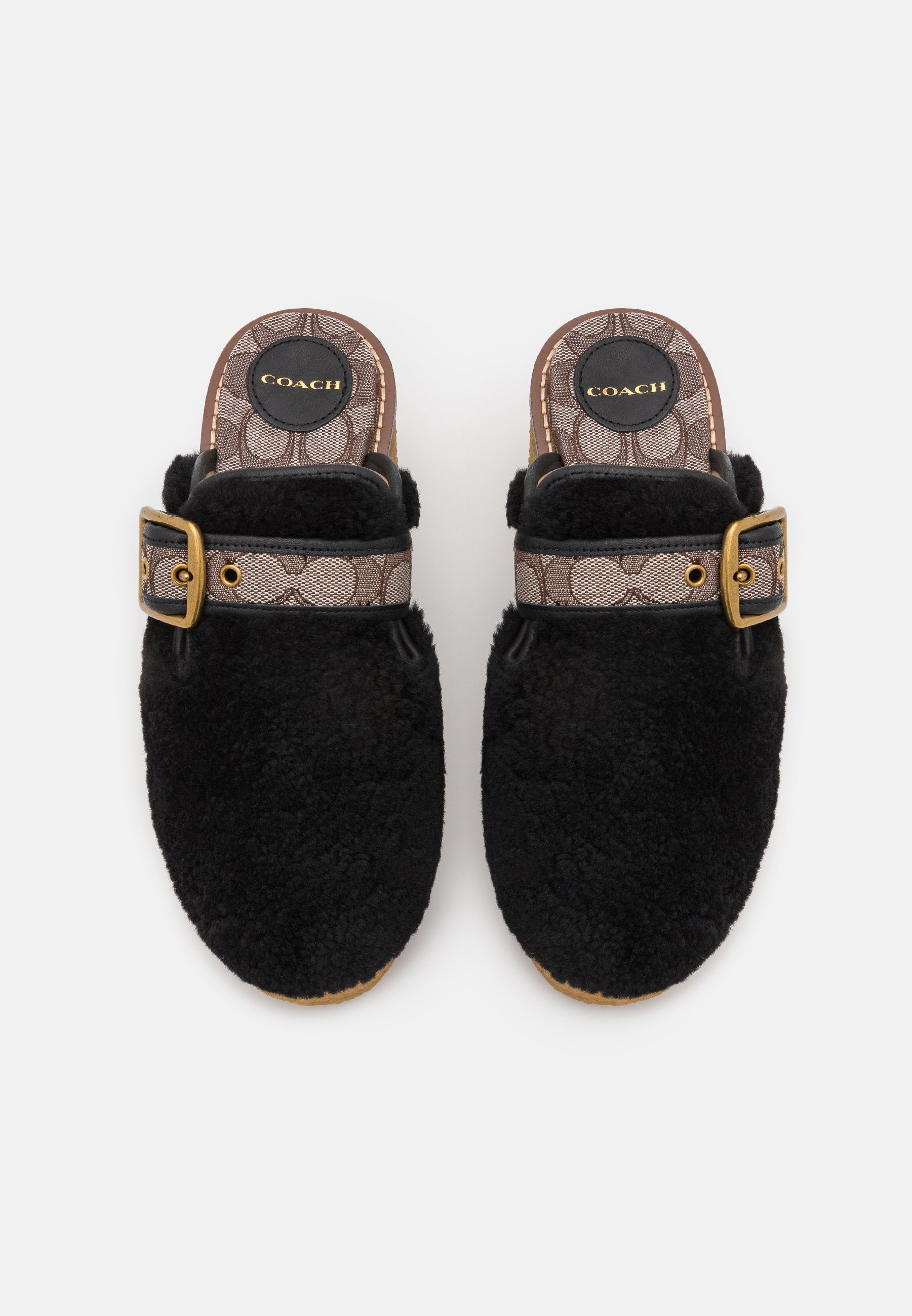 COACH DYLAN SHEARLING