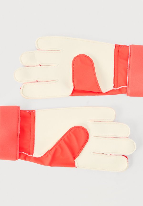 adidas Performance PREDATOR GOALKEEPER TRAINING UNISEX