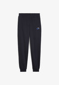 Puma ESSENTIALS 2 COLOUR NO.1 LOGO JOGGING - Tracksuit bottoms - new navy mountain blue